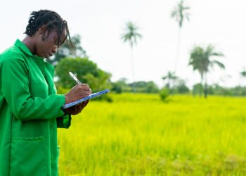 Feasibility Study for Special Agro–Industrial Processing Zone (SAPZ) in Nasarawa State, Nigeria